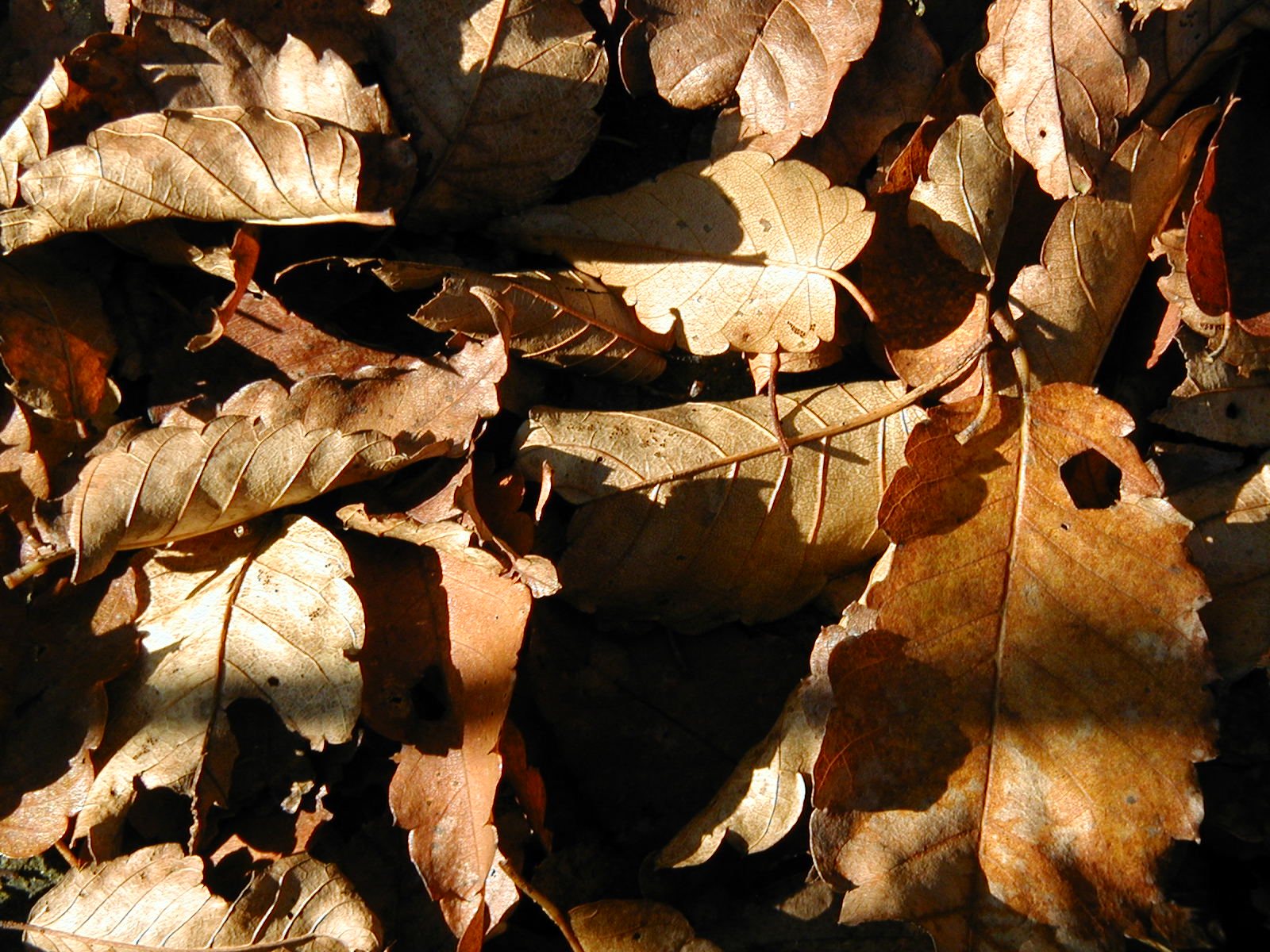 PB250008.JPG