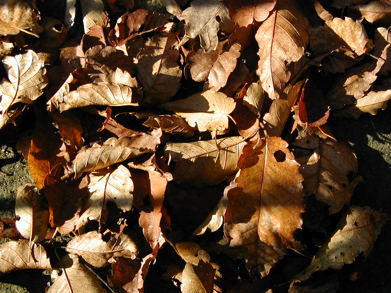 PB250009.JPG