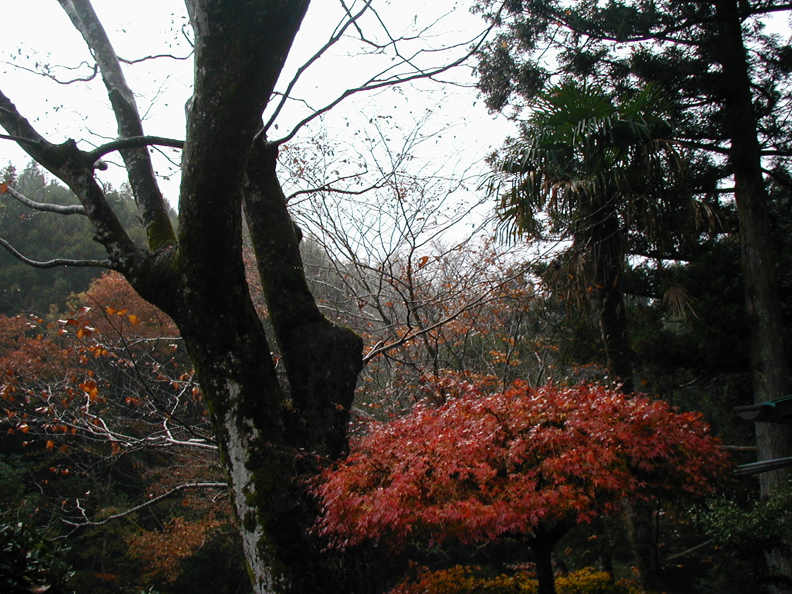 PB300013.JPG