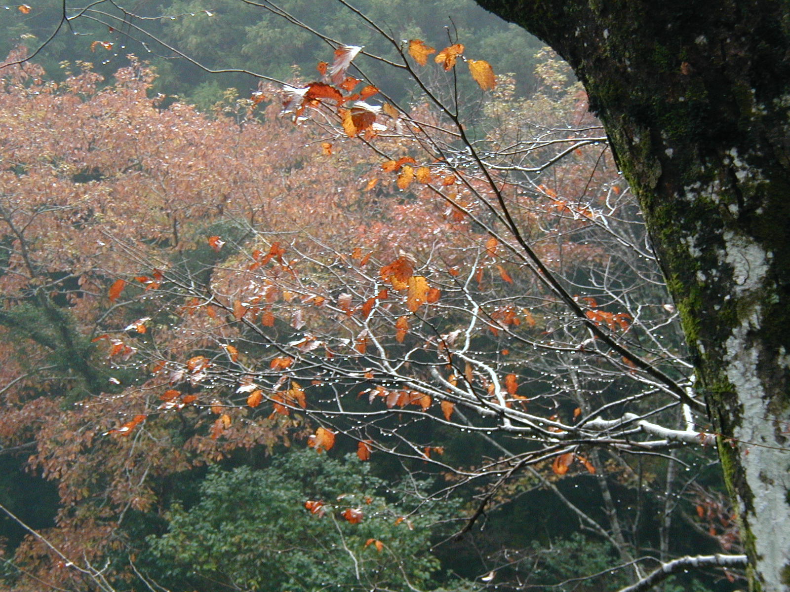 PB300015.JPG