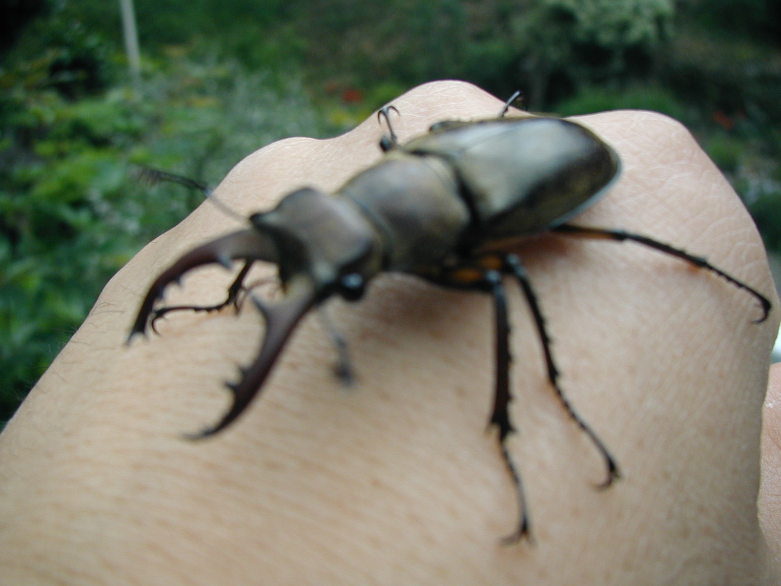 P5250003.JPG