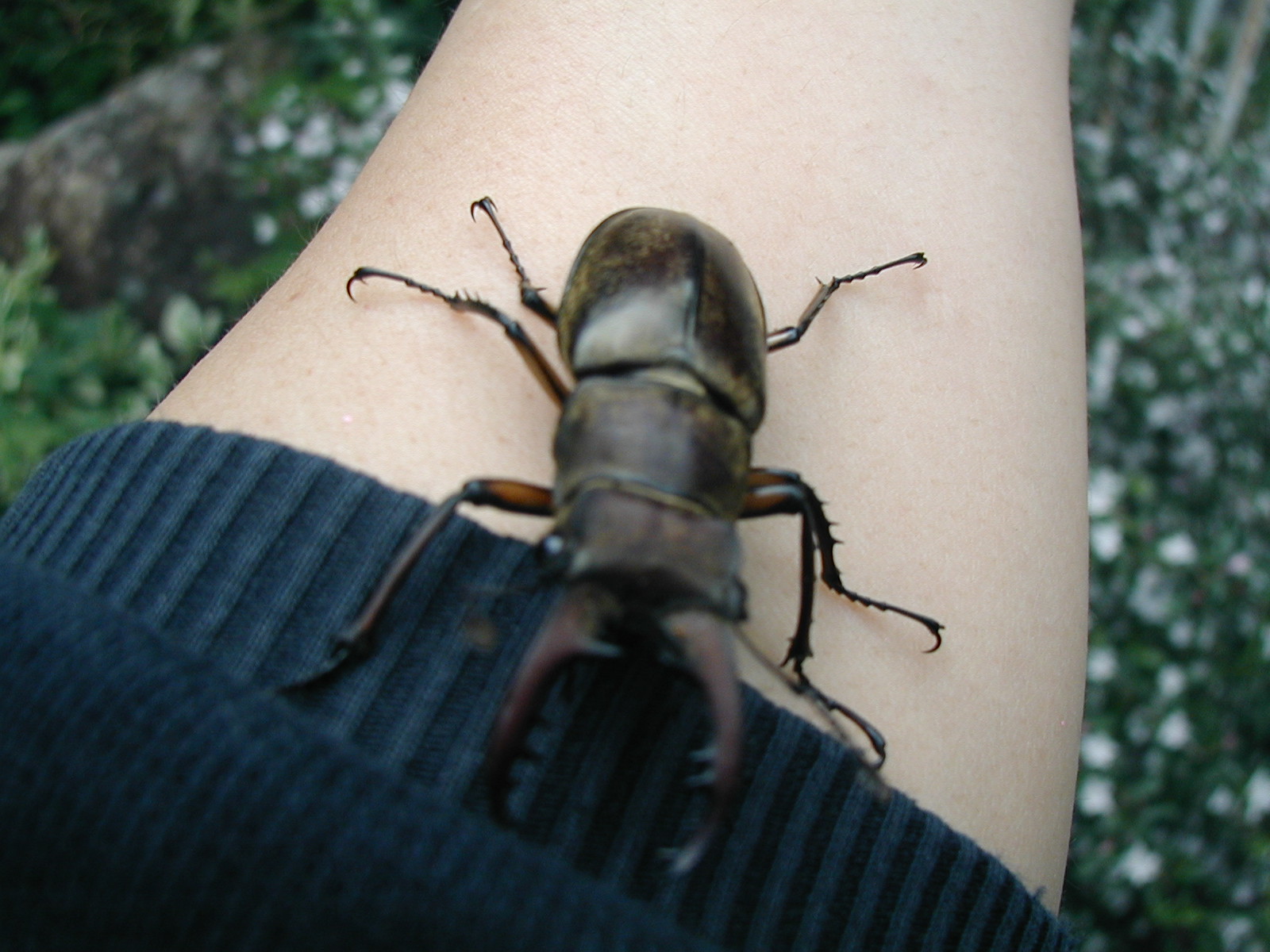 P5250008.JPG