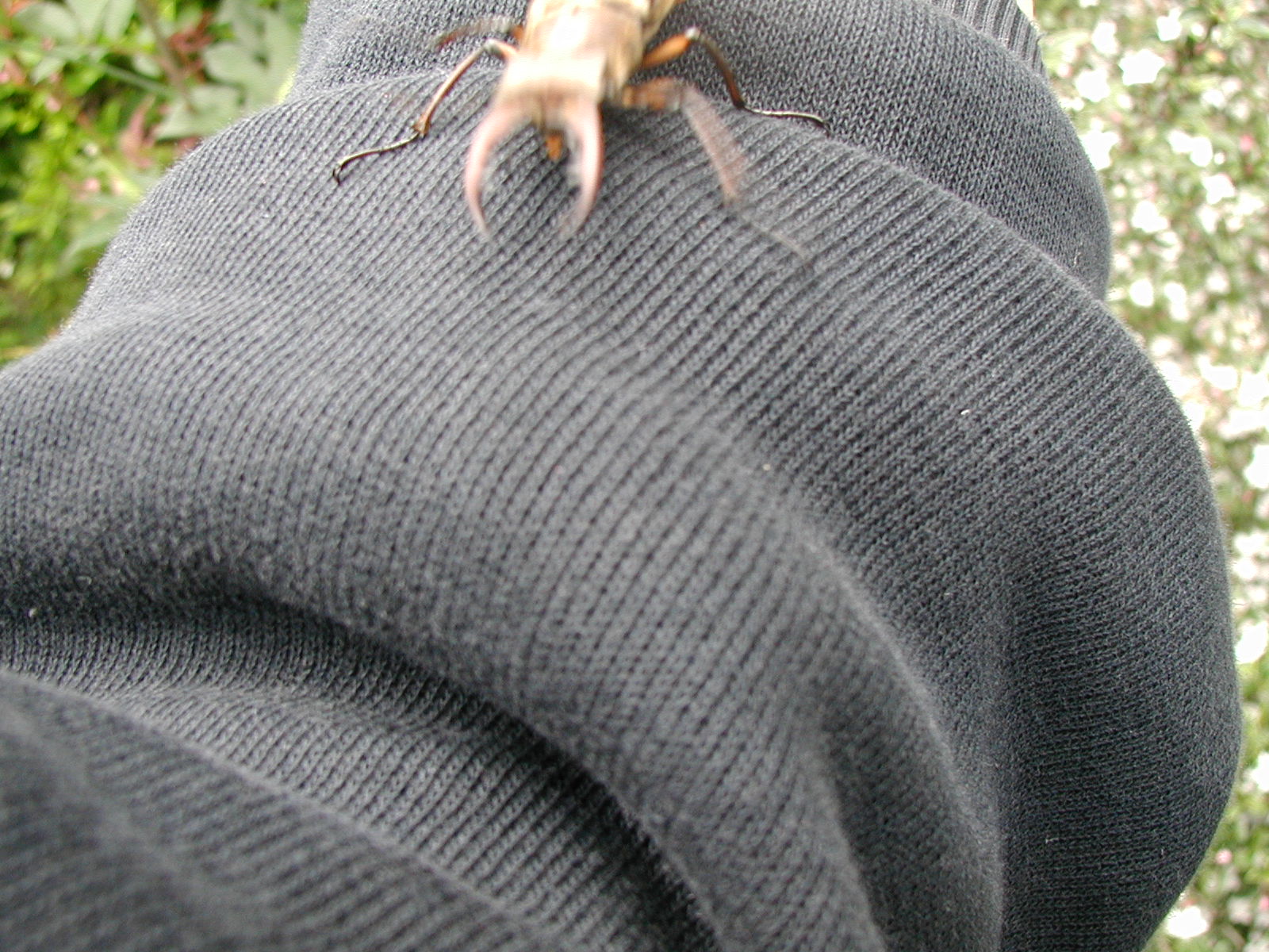 P5250017.JPG