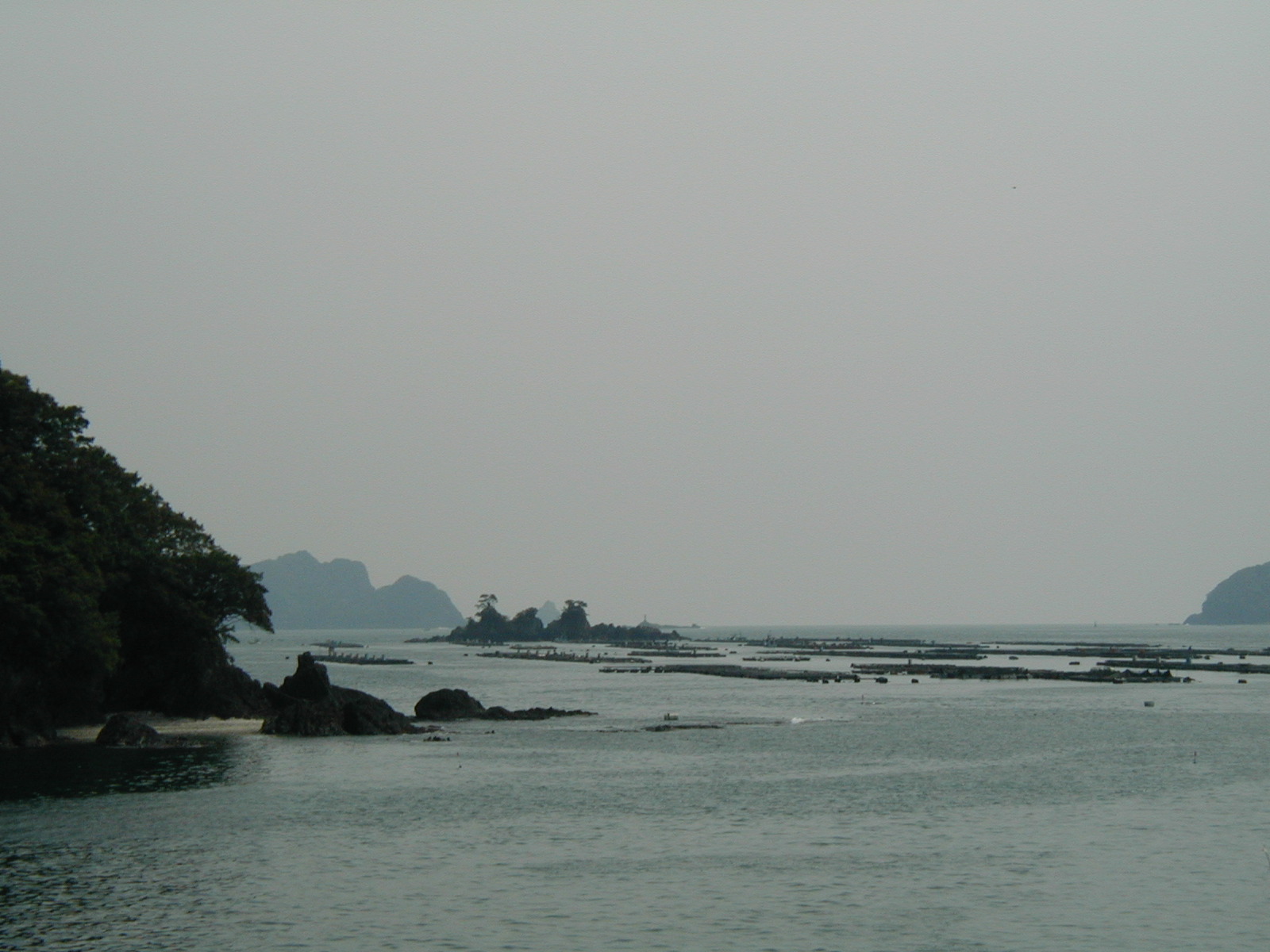 P4170009.JPG