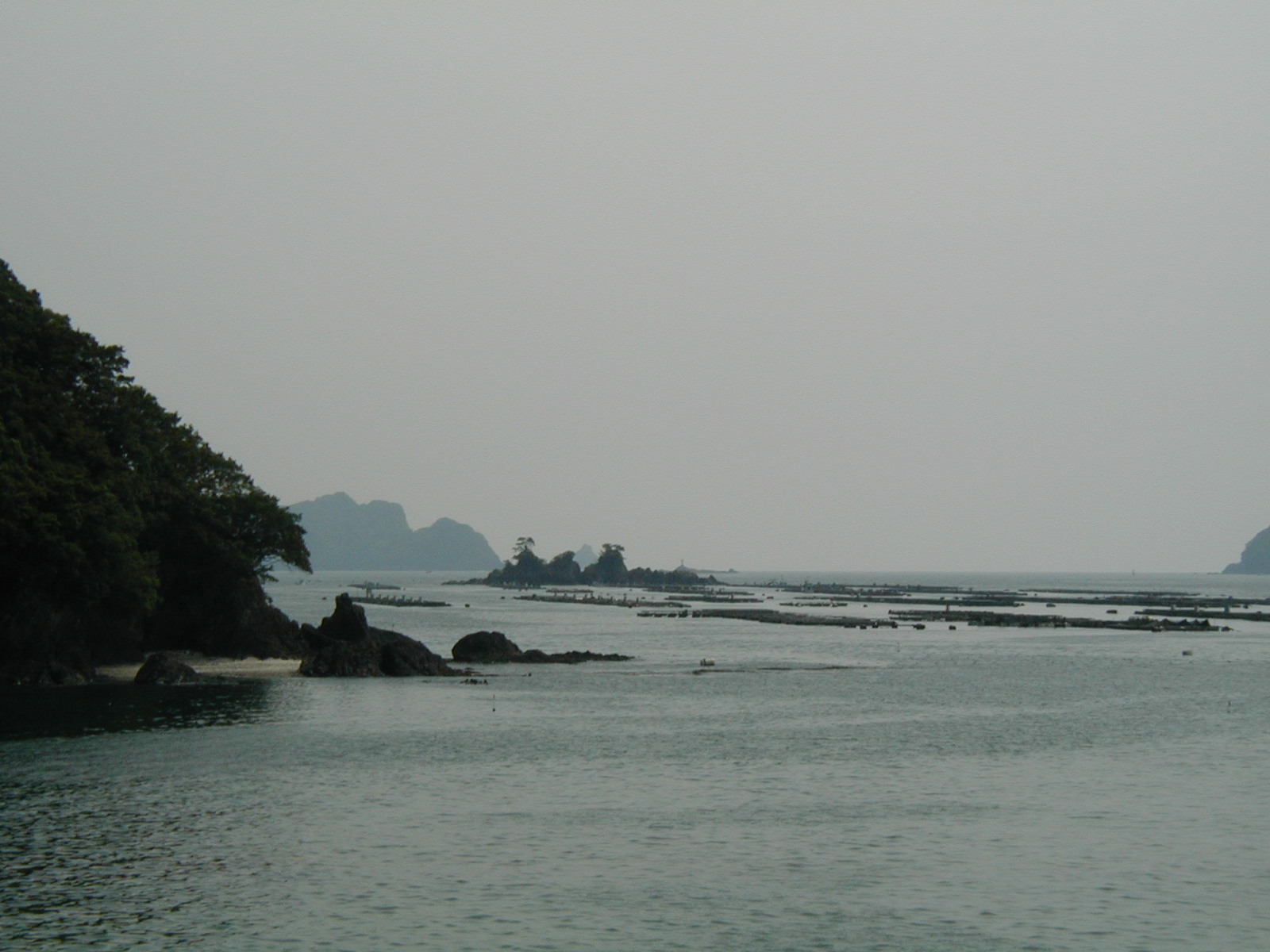 P4170011.JPG