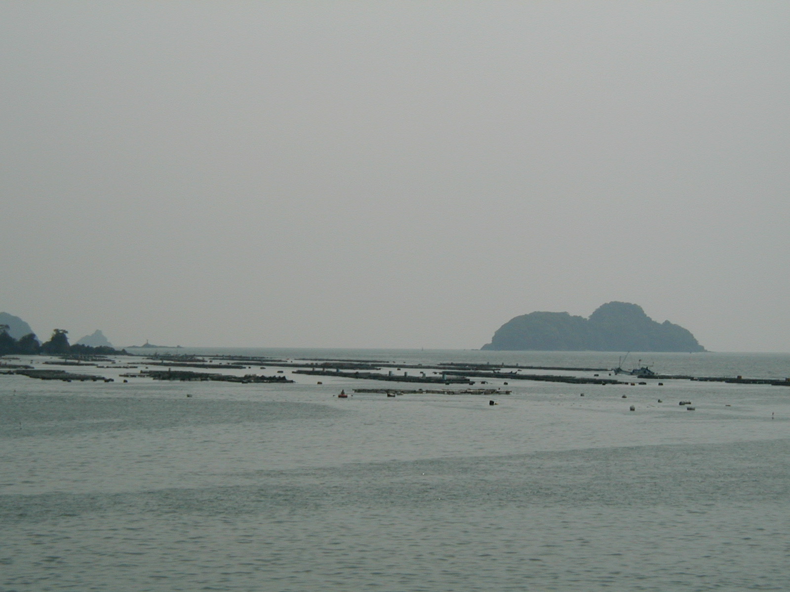 P4170013.JPG