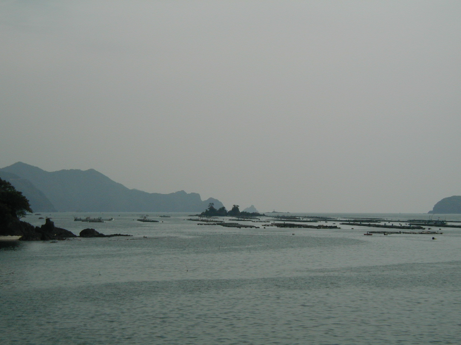 P4170014.JPG