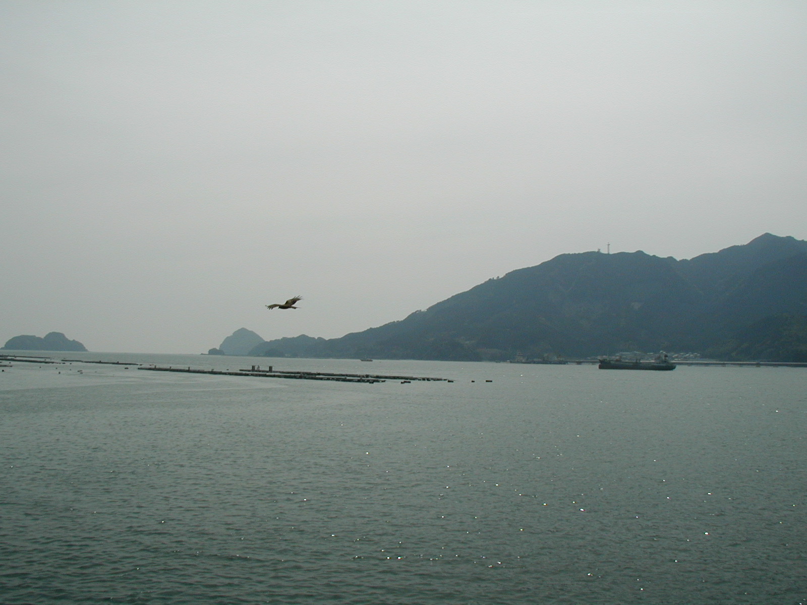 P4170017.JPG