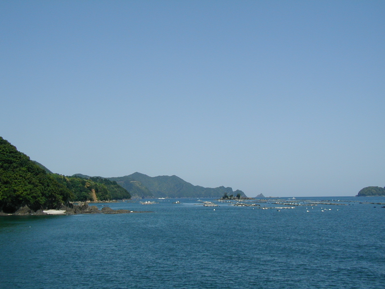 P4230002.JPG