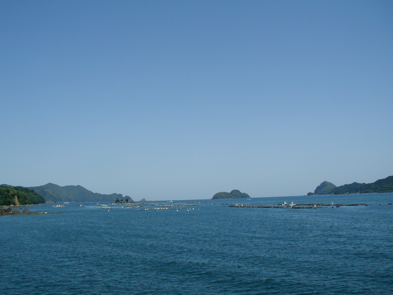 P4230003.JPG