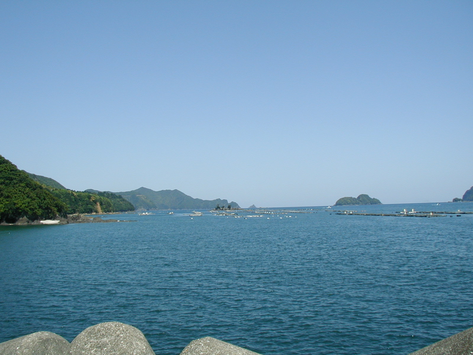 P4230007.JPG