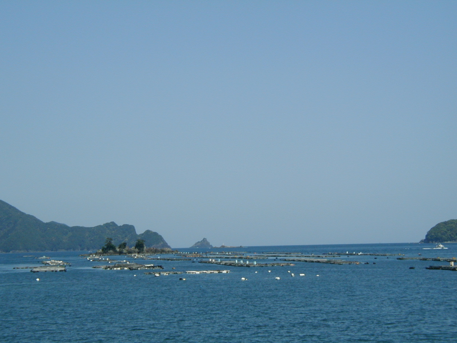P4230008.JPG