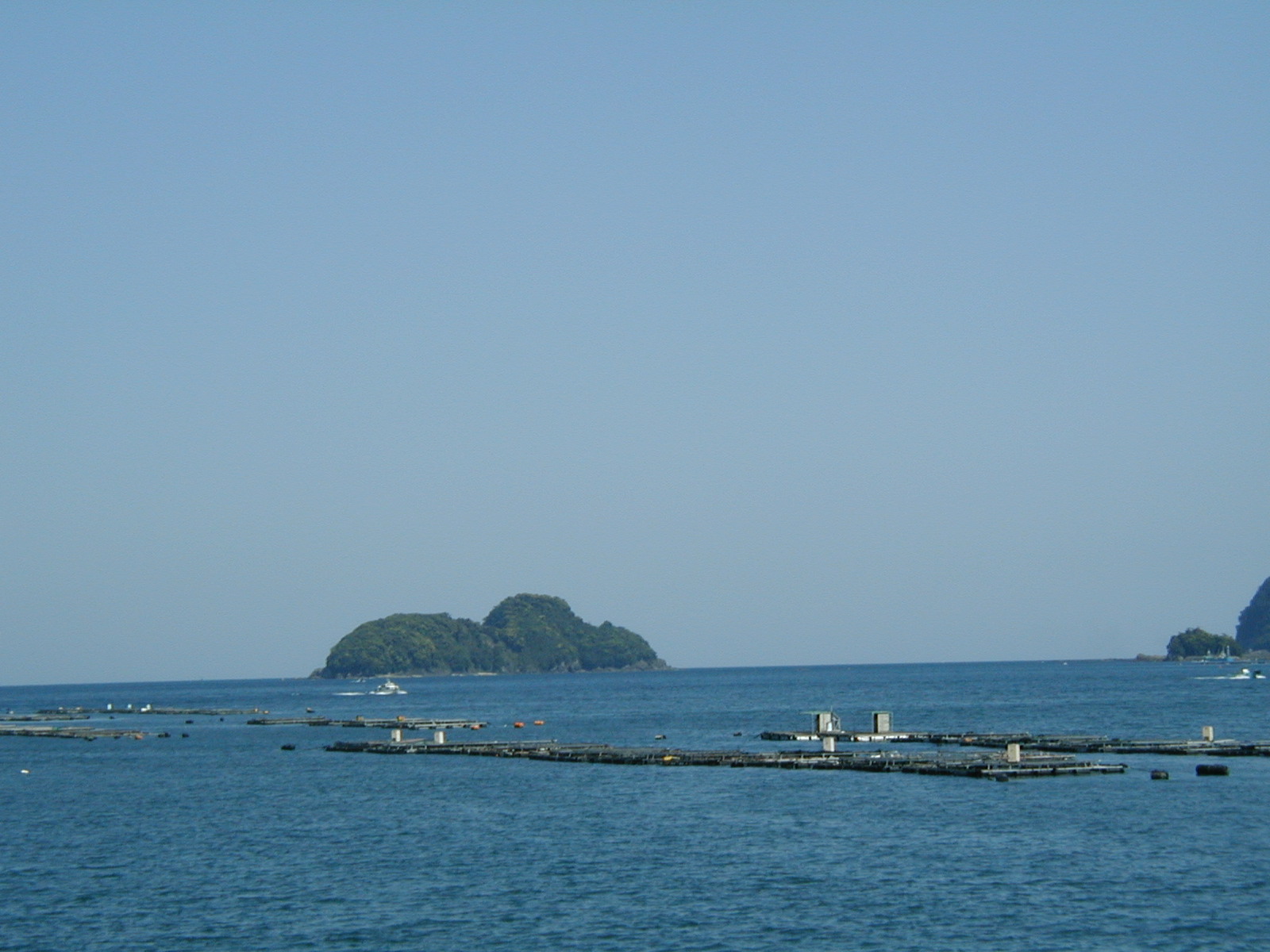 P4230009.JPG