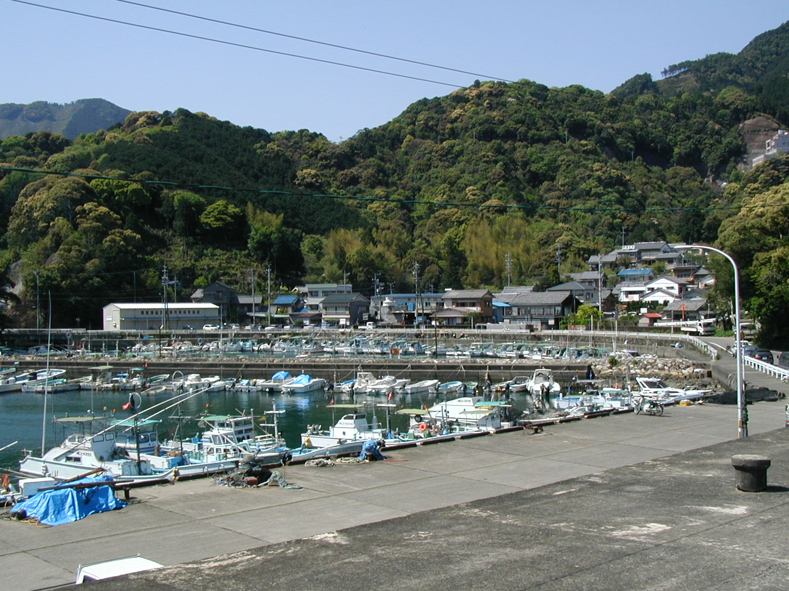 P4230019.JPG