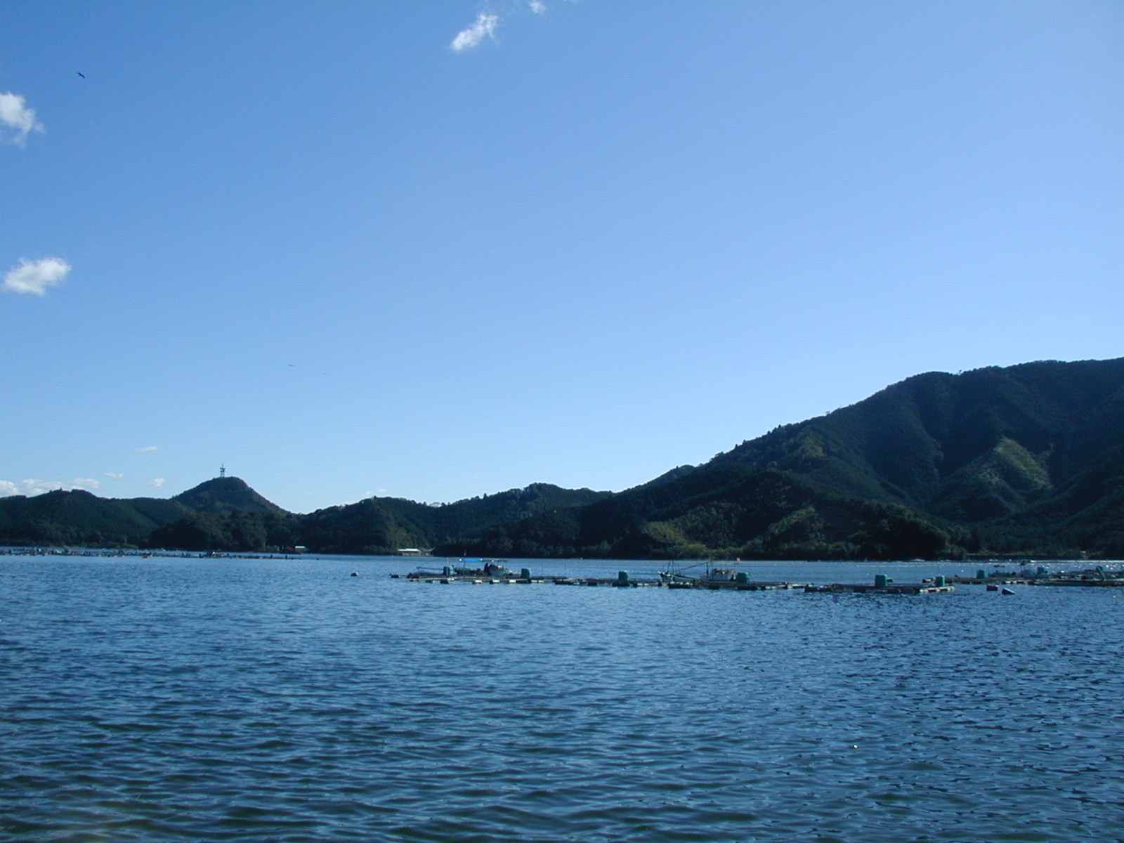 P1010003.JPG