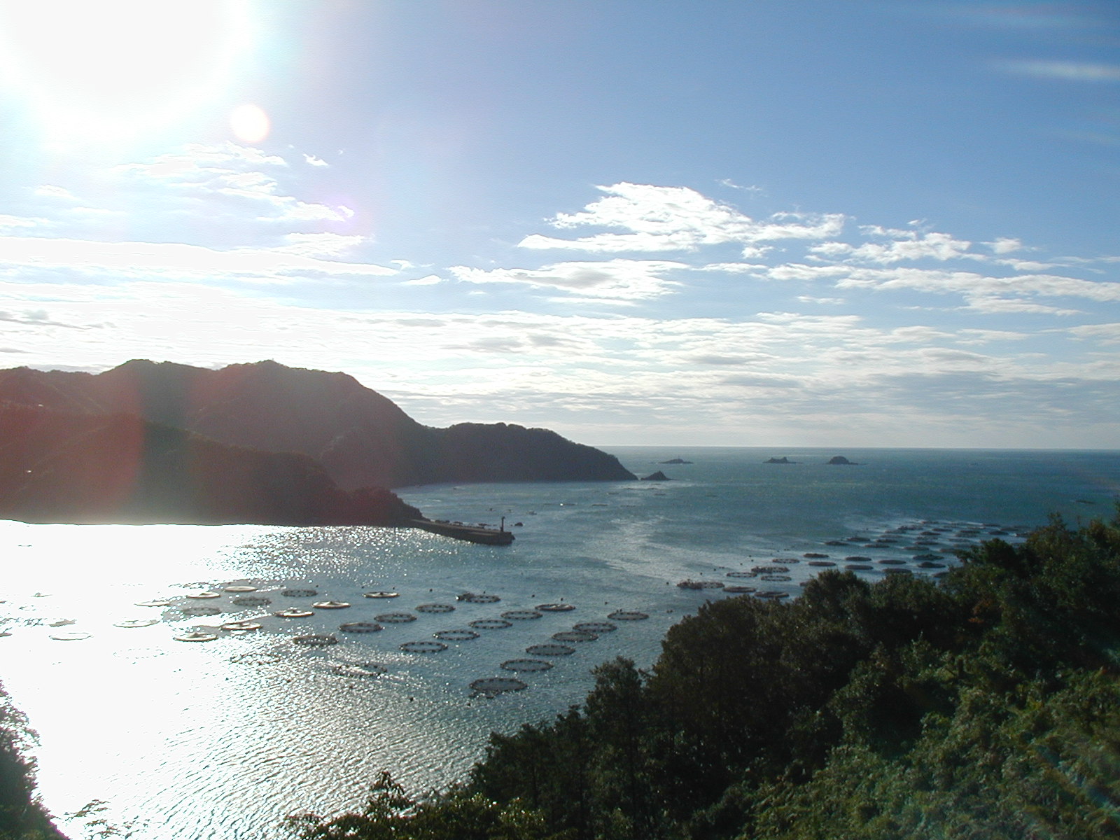 P1010005.JPG