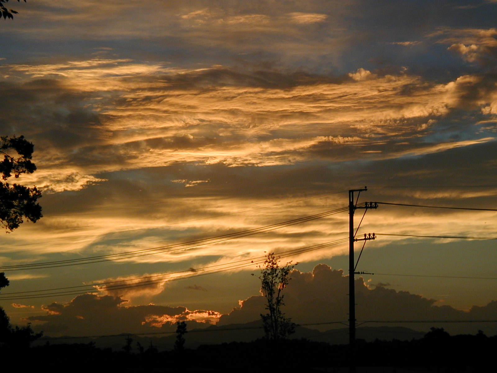 P8170001.JPG