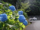 P6090002.JPG