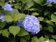 P6150005.JPG
