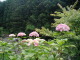 P6150010.JPG