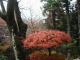 PB300012.JPG