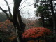 PB300013.JPG