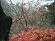 PB300014.JPG