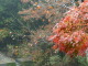 PB300016.JPG