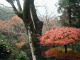 PB300018.JPG