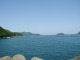 P4230007.JPG