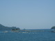 P4230008.JPG