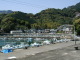 P4230019.JPG