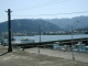 P4230020.JPG