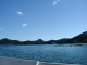 P1010002.JPG