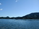 P1010003.JPG